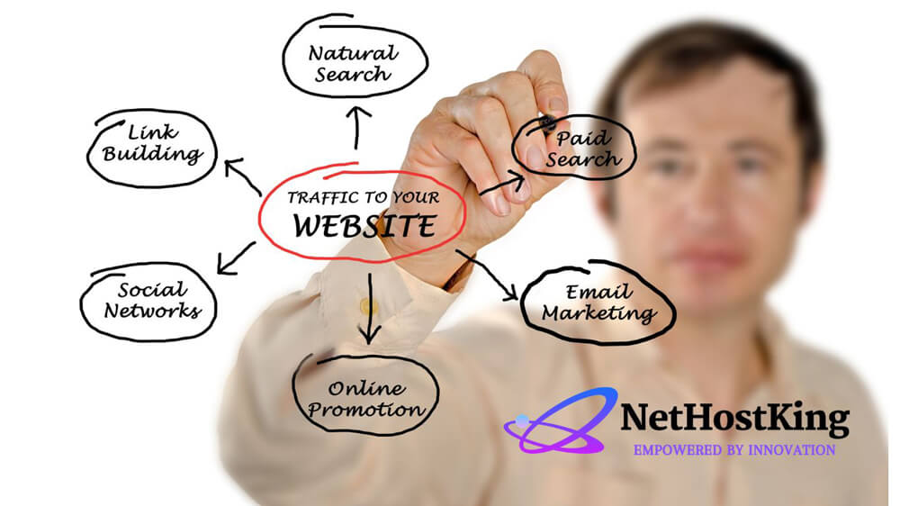 Role-of-SEO-in-Driving-Organic-Traffic-to-Your-Website-NetHostKing